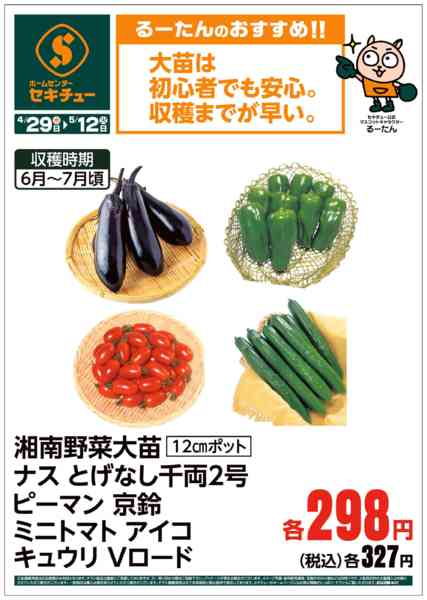 2026年4月29日〜5月12日までるーたんのおすすめ！！new-7