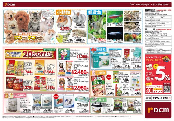 Mother’s Day Marche マザーズディマルシェ　5月10日 日曜日は母の日です（4月25日～5月10日）-2