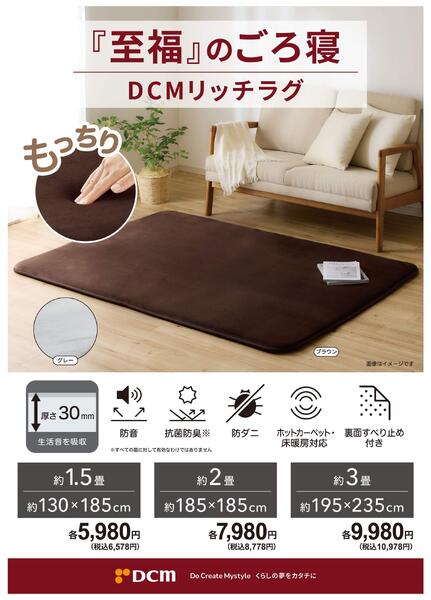 イチオシ商品紹介！『至福のごろ寝 リッチラグ』new-1