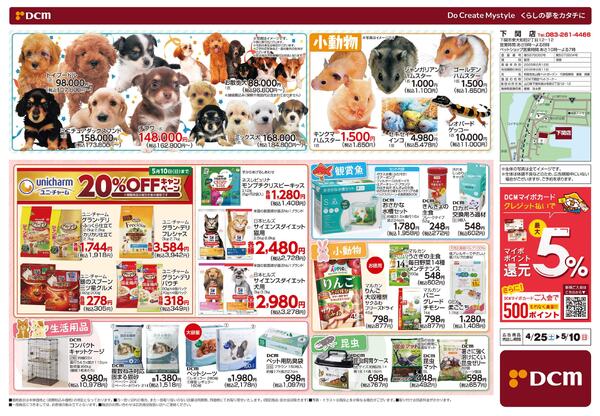 Mother’s Day Marche マザーズディマルシェ　5月10日 日曜日は母の日です（4月25日～5月10日）-2