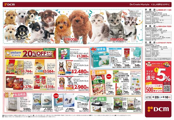 Mother’s Day Marche マザーズディマルシェ　5月10日 日曜日は母の日です（4月25日～5月10日）-2