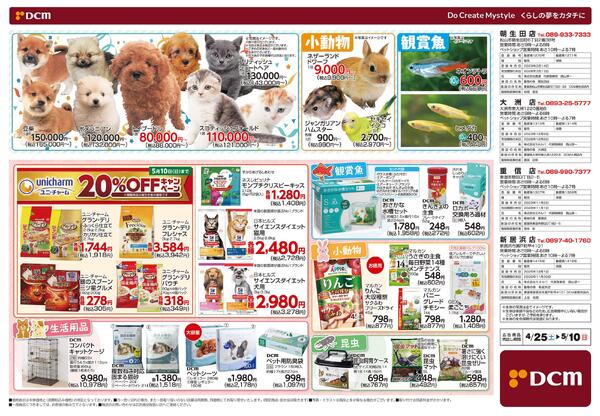 Mother’s Day Marche マザーズディマルシェ　5月10日 日曜日は母の日です（4月25日～5月10日）-2