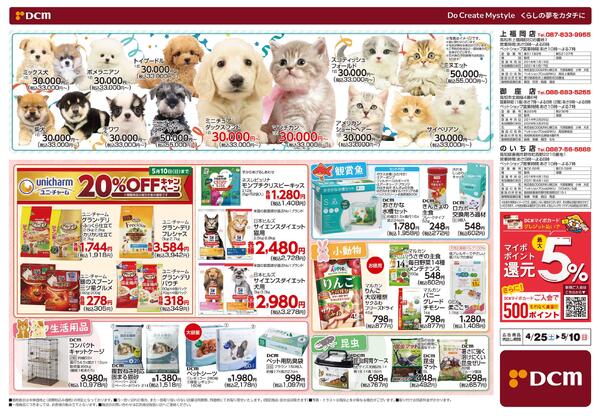 Mother’s Day Marche マザーズディマルシェ　5月10日 日曜日は母の日です（4月25日～5月10日）new-2