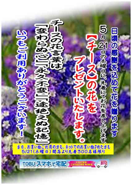 2026年4月27日〜5月20日まで日頃の感謝の気持ちをこめてお花を贈ります-1