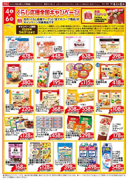 最新チラシnew-2