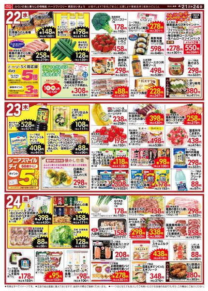 最新チラシnew-2