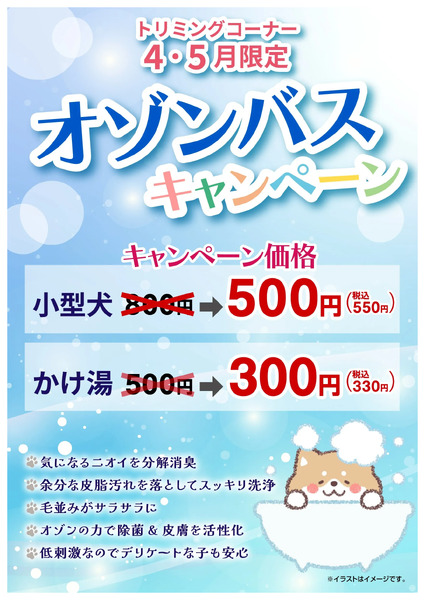 ニコペット須坂店イベント情報4月20日～4月20日-1