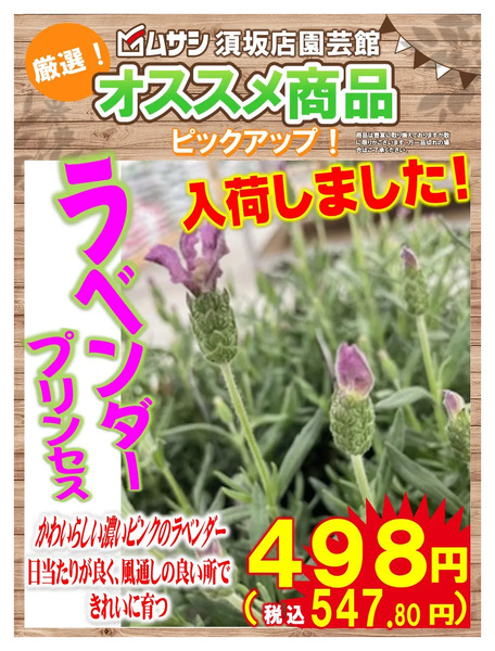 須坂店ガーデンセンターより入荷情報!3月31日～4月6日new-2