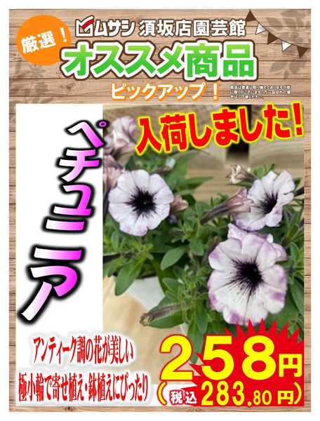 須坂店ガーデンセンターより入荷情報!3月31日～4月6日new-1