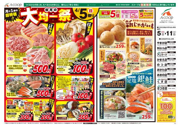 最新チラシnew-1