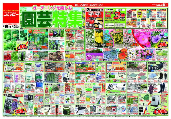 ハッピーのチラシ-1