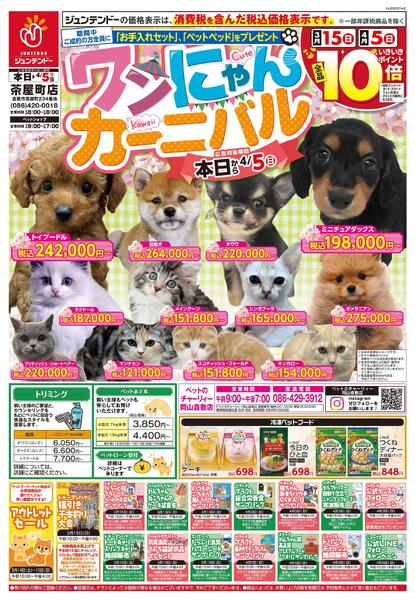 ワンにゃんカーニバル-1