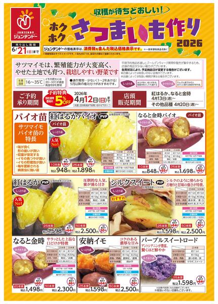 収穫が待ちどおしい！さつまいも作り-1