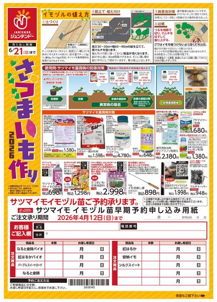 収穫が待ちどおしい！さつまいも作り-2