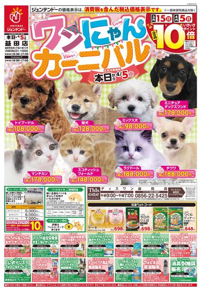 ワンにゃんカーニバル-1