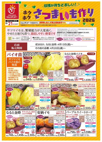 収穫が待ちどおしい！さつまいも作り-1