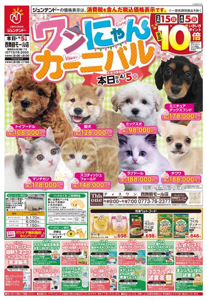 ワンにゃんカーニバル-1