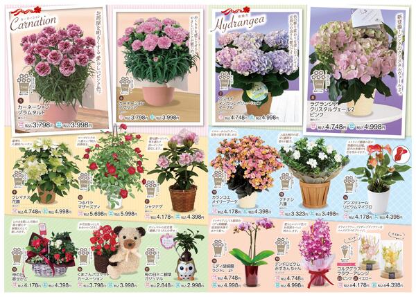 母の日ギフト-2