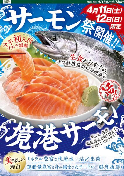 今日のチラシ-2