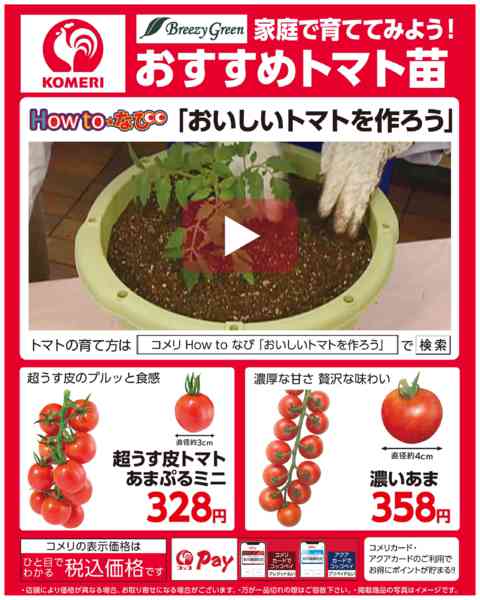 2026年4月29日〜5月31日までおすすめトマト苗new-1