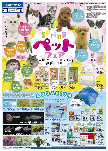 4月18日～5月11日　Springペットフェア-1