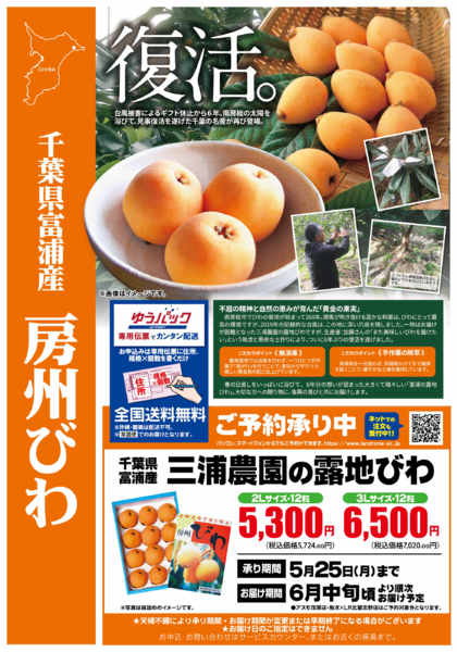 2026年4月1日〜5月25日まで💛房州びわ☆ご予約承り中です💛new-1