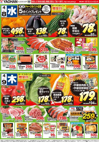 最新チラシnew-2