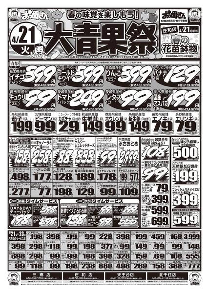 レギュラーチラシnew-1