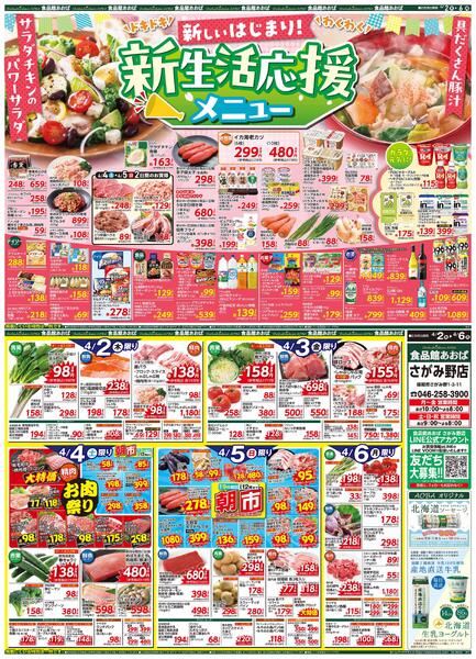 レギュラーチラシnew-1