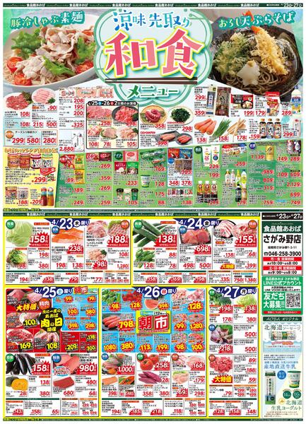 レギュラーチラシ-1