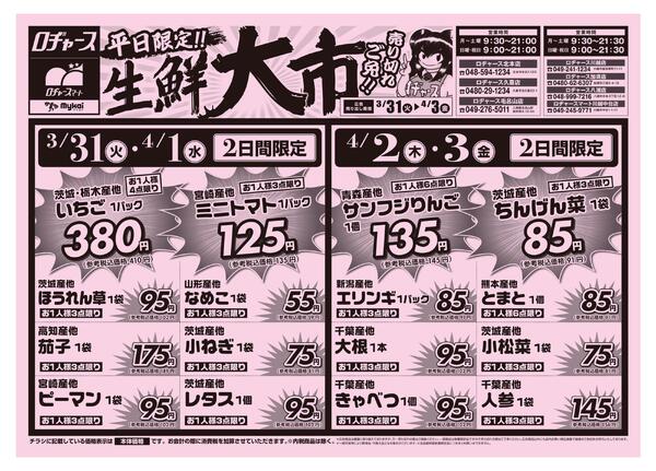 折り込みチラシ-1