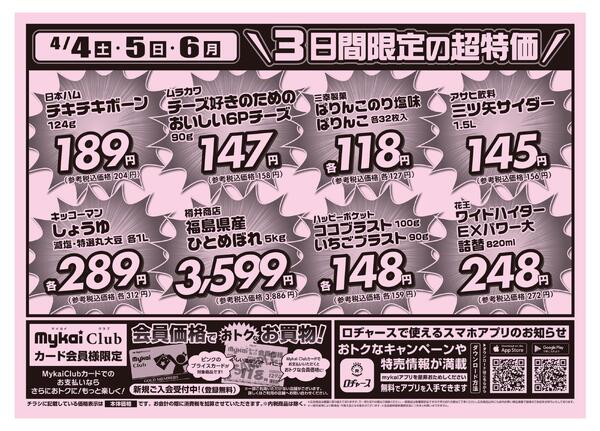 折り込みチラシnew-2