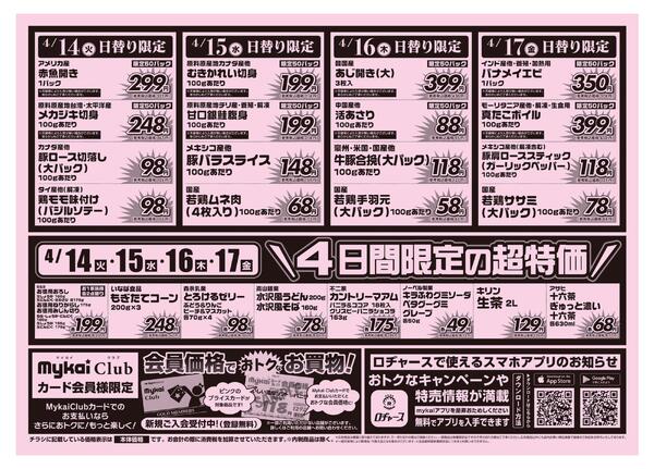 折り込みチラシ-2