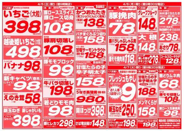 最新チラシnew-4