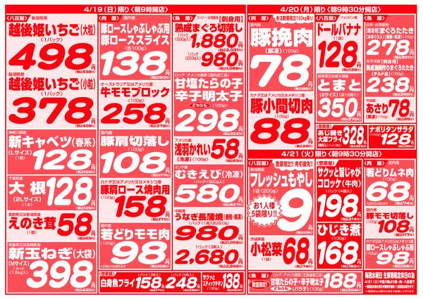 最新チラシnew-11