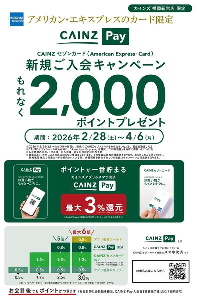カインズPayキャンペーン2/28号-1