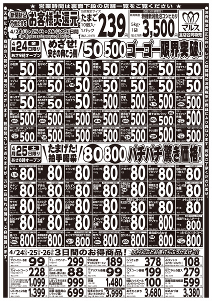 最新チラシnew-1