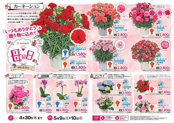 母の日予約new-1