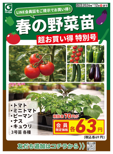 2026年4月10〜12日までLINE会員限定 超お買い得 春の野菜苗new-1