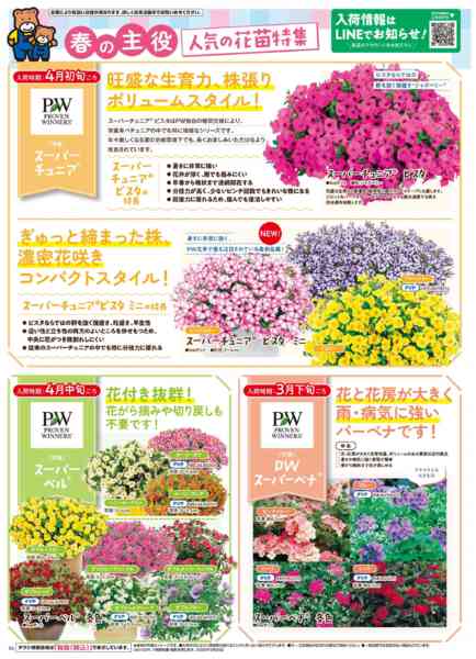 2026年3月25日〜5月31日まで春のガーデニングフェア-5