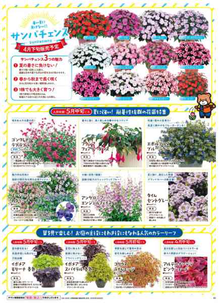 2026年3月25日〜5月31日まで春のガーデニングフェア-6