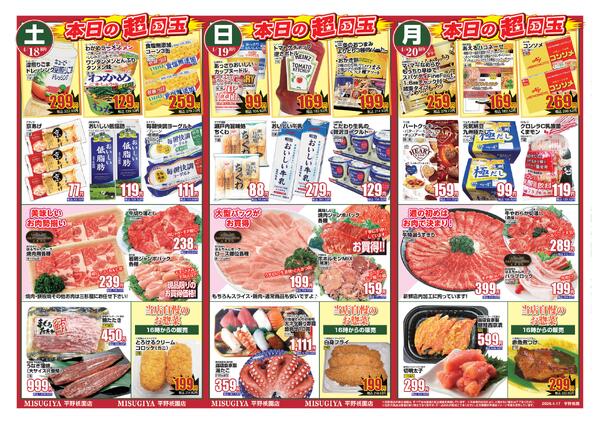 レギュラーチラシ-1