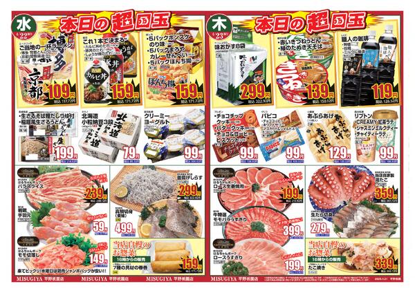 レギュラーチラシ-3