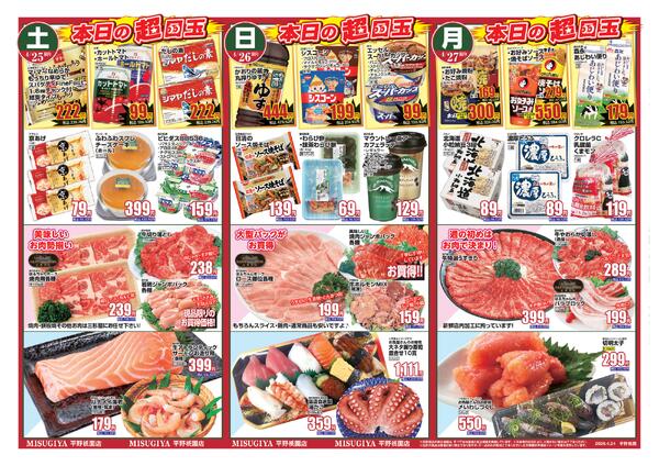 レギュラーチラシ-2