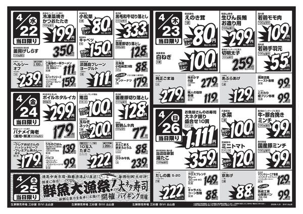 レギュラーチラシ-2