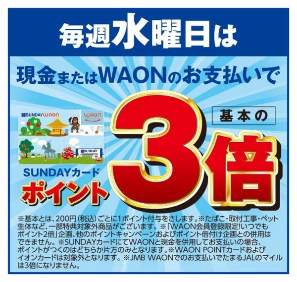 2026年4月15日限り毎週水曜日はポイント3倍new-1