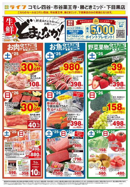 4/25号　生鮮どまんなか！-1