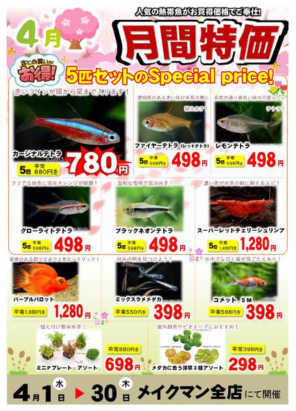 2026年4月1〜30日まで4月熱帯魚月間new-1