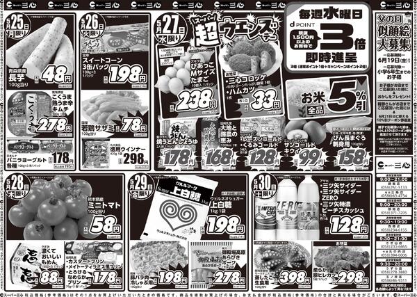最新のチラシ-2