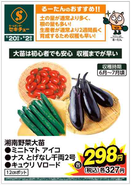 2026年5月20日〜6月2日までるーたんのおすすめ！！new-3